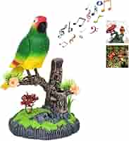 (初心者向けセット)Chatting Bird CWC-FT 初心者向けセット)Chatting Bird CWC-FT Amazon.com : Gigwi